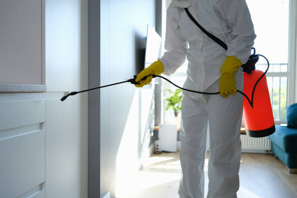 Best Mold Testing and Removal  in Raymond, IL