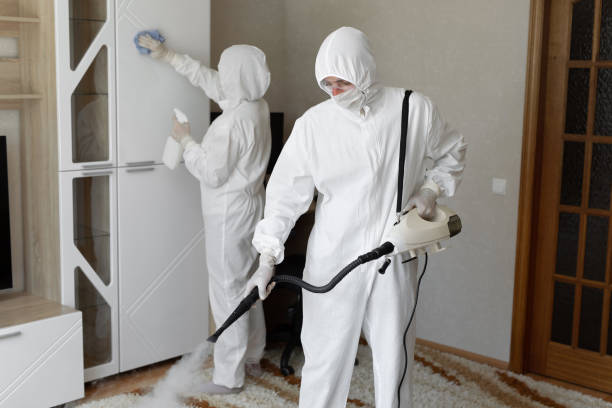 Best Mold Removal Process  in Raymond, IL